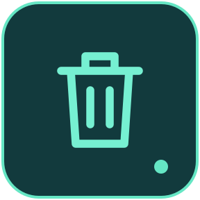 Empty Recycle Bin