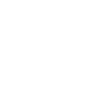 Pet Playground & Dial Icon