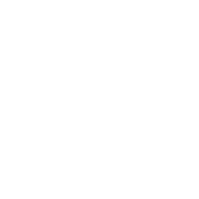 Roaming Infobar Pet Icon