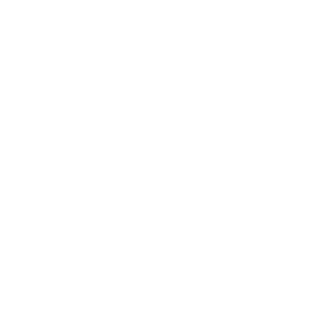 Pet Habitat Key Icon